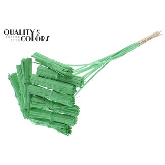 QC Kore Boeketje op stok | Kleur: Mintgroen | Kore Bijsteker | Lengte bijsteker ± 50 centimeter | 10 bijstekers per bos