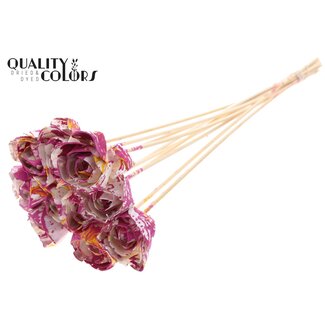 QC Shola Roos op stok | Kleur: Meerkleurig Kerskleurig Geel | Shola Dear Holly | Diameter 6 centimeter | Lengte  ± 50 centimeter | 10 bijstekers per bos | Per bos