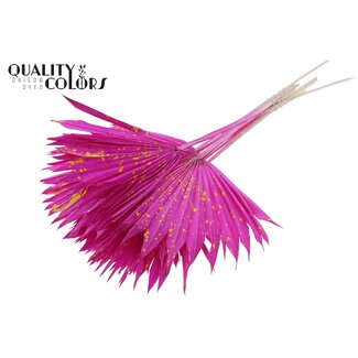 QC Gedroogde Palm Sun Spear | Kleur: Gespetterd Lila Geel | Palmbladeren in Waaiervorm | Lengte ± 50 centimeter | 10 takken per bos | Per bos