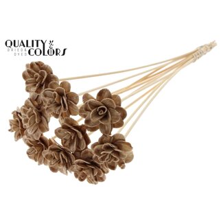 QC Shola Rozen met was op stok | Kleur: Beige | Shola Beetal Rose | Diameter 6 centimeter | Lengte ± 50 centimeter | 10 bijstekers per bos | Per bos