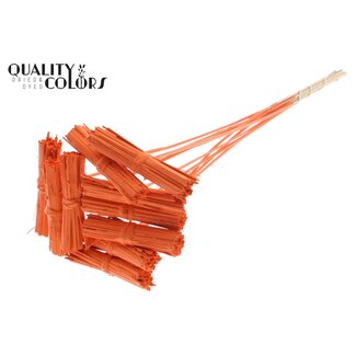 QC Kore Boeketje op stok | Kleur: Oranje | Kore Bijsteker | Lengte bijsteker ± 50 centimeter | 10 bijstekers per bos