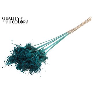 QC Mini Knoopsbloemen Boeketje op stok | Kleur: Turquoise | Mini Button Bijsteker | Lengte ± 50 centimeter | 10 bijstekers per bos