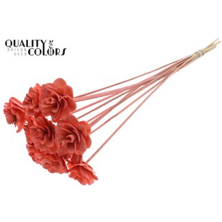 QC Shola Rozen op stok | Kleur: Koraalkleurig | Shola Beetal Rose | Diameter 6 centimeter | Lengte ± 50 centimeter | 10 bijstekers per bos | Per bos