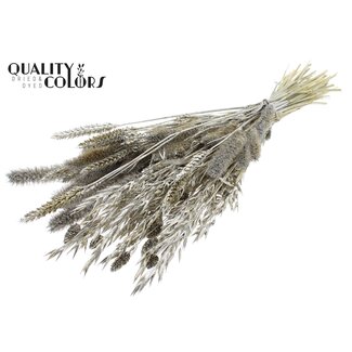 QC Boeket Gedroogde Bloemenmix | Kleur: Platinakleurig met Glitter | Lengte ± 60 centimeter | Per bos