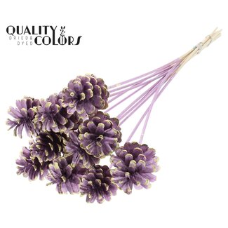 QC Pine cone on stick | Colour: Metallic Pink and Gold Tipped | Diameter 5 - 7 centimetres | Length ± 50 centimetres | 10 picks per bunch