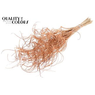 QC Dried Palm Leaf Vein | Curly Ting Ting | Colour: Frosted Salmon | Length ± 70 centimetres | 3 sprigs per bunch | 33 bunches per bundle | Per bundle