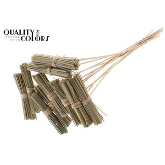QC Kore Boeketje op stok | Kleur: Naturelle Bruin | Kore Bijsteker | Lengte bijsteker ± 50 centimeter | 10 bijstekers per bos