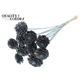 QC Pomme de pin coupée en deux sur bâton | Couleur : Bleu clair givré | Diamètre 5 - 7 centimètres | Longueur ± 50 centimètres | 10 piques par bouquet
