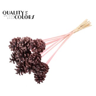 QC Dennenappel op stok | Kleur: Frosted Roze | Diameter 5 - 7 centimeter | Lengte ± 50 centimeter | 10 bijstekers per bos