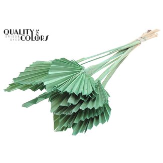 QC Dried Palm Spear | Colour: Frosted Mint Green | Spear-Shaped Palm Leaves | Length ± 50 centimetres | 10 stems per bunch | Per bunch