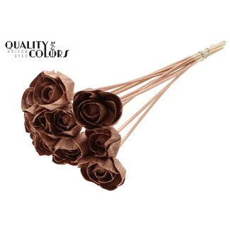 QC Shola Rose on stem | Colour: Copper-coloured | Shola Dear Holly | Diameter 6 centimetre | Length ± 50 centimetre | 10 picks per bunch | Per bunch