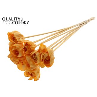 QC Shola Rozen op stok | Kleur: Abrikooskleurig | Shola Dear Holly | Diameter 6 centimeter | Lengte  ± 50 centimeter | 10 bijstekers per bos | Per bos
