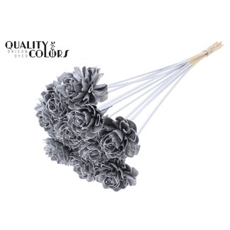 QC Shola Houten Dahlia op stok | Kleur: Zilverkleurig | Shola Dahlia Bijsteker | Diameter bloem 6 centimeter | Lengte bijsteker ± 50 centimeter | 10 bijstekers per bos