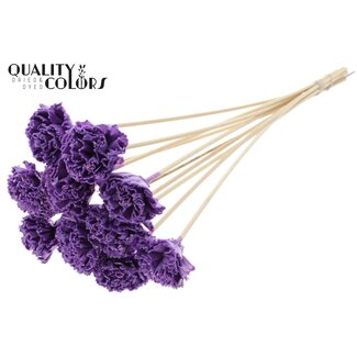 QC Shola Karnish Flower with wax on stick | Colour: Milky purple | Diameter 6 centimetre | Length ± 50 centimetre | 10 flower picks per bunch | Per bunch