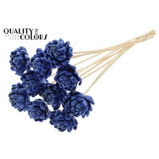 QC Shola Houten Roos met was op stok | Kleur: Blauw | Sola New Beauty Rose | Diameter 6 centimeter | Lengte ± 50 centimeter | 10 bijstekers per bos | Per bos