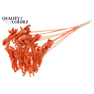 QC Décoratif Coco Rose Bouquet sur tige | Couleur: Orange | Coco Rose Pique posy | Longueur du pique ± 50 centimeter | 10 piques par bouquet
