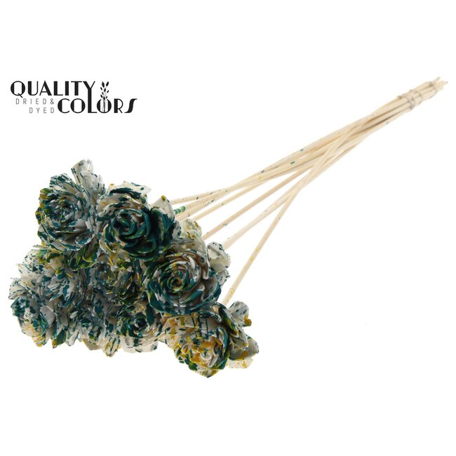 Shola Dahlia sur tige | Couleur : Multicolore Vert Jaune | Shola Dhalya | Diamètre 6 centimètre | Longueur ± 50 centimètre | 10 piques supplémentaires par bouquet | Par bouquet