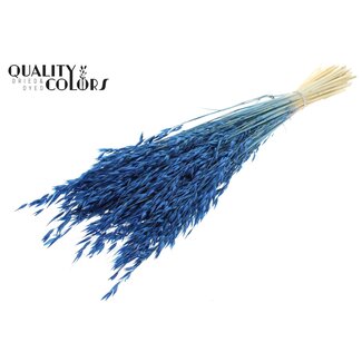 QC Avoine Séchée Blanchie | Couleur : Bleu | Avena Fleurs Séchées | Longueur ± 60 centimètres | Poids 200 grammes | Par bouquet