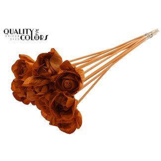 QC Shola Rozen op stok | Kleur: Terracotta | Shola Dear Holly | Diameter 6 centimeter | Lengte  ± 50 centimeter | 10 bijstekers per bos | Per bos