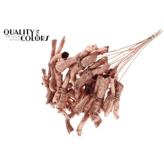 QC Gandiraj Branches on Stick | Colour: Metallic Copper | Gandiraj Pick | Length ± 50 centimetres | 10 picks per bunch