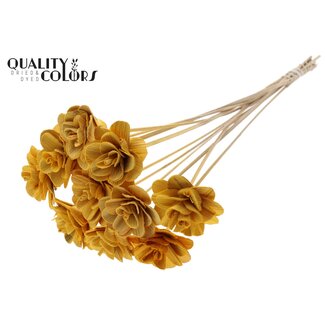 QC Shola Houten Roos op stok | Kleur: Abrikooskleurig | Shola Beetal Rose Bijsteker | Diameter roos 8 centimeter | Lengte bijsteker ± 50 centimeter | 10 bijstekers per bos