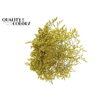QC Gedroogde Zeelavendel | Kleur: Geel | Limonium Tataricum Droogbloemen | Lengte ± 30 cm | Gewicht 45 gram | Per bos