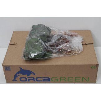 Freshy Galax Large (p. bos)