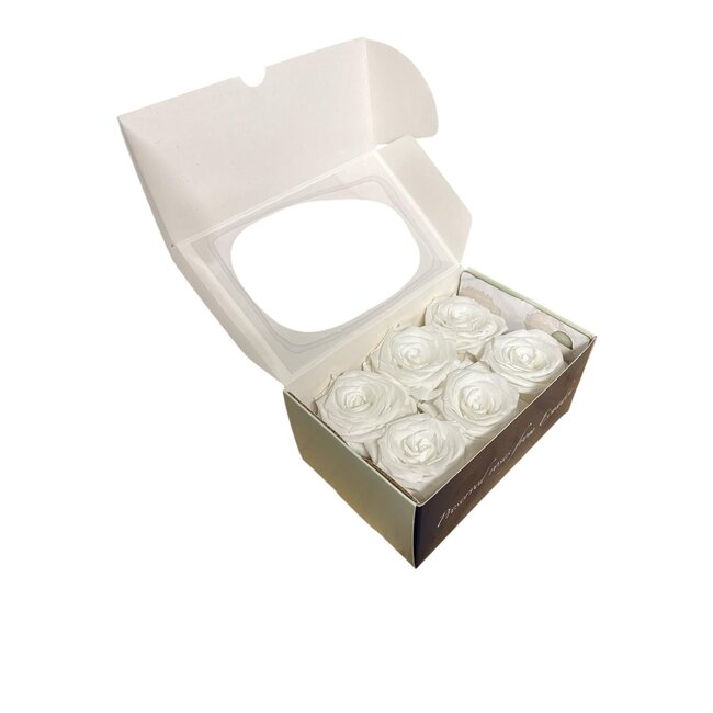 Preserved Rose Heads | Colour: White Classic | Packed per 6 roses