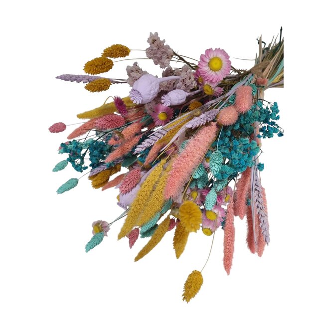 Bouquet de fleurs séchées Happy String | Longueur ± 55 centimètres | Avec des fleurs séchées fraîches aux couleurs pastel