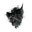 Bloom de balai noir fleurs séchées | Longueur ± 55 centimètres | Poids 125 grammes