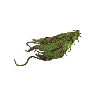 Casa Alegria Green Red Amaranthus Caudatus - Hanging Amaranth | Preserved flowers | Length ± 65 centimetres | Weight ± 125 grams