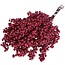 Red with glitter Schinus - Pepper berries dried decoration | Length ± 35 centimetres | Weight ± 150 grams