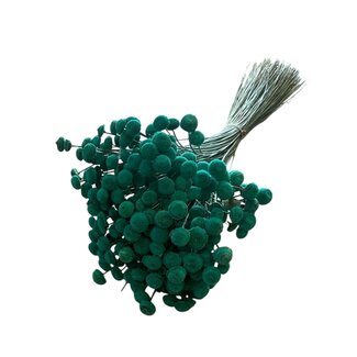 Casa Alegria Aquablue Botao dried flowers | Length ± 45 centimetres | Weight ± 100 grams