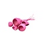 Getrocknete Bellgums | Farbe: Rosa | Bell Cup Stecker | Länge ± 40 Zentimeter | 10 pro Bund