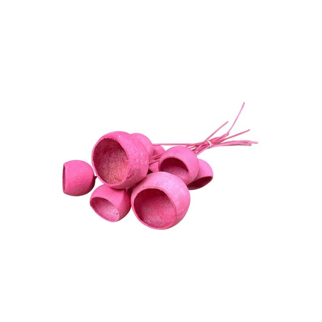 Bellgums séchées | Couleur : Rose | Bell Cup sur tige | Longueur ± 40 centimètres | 10 par bouquet