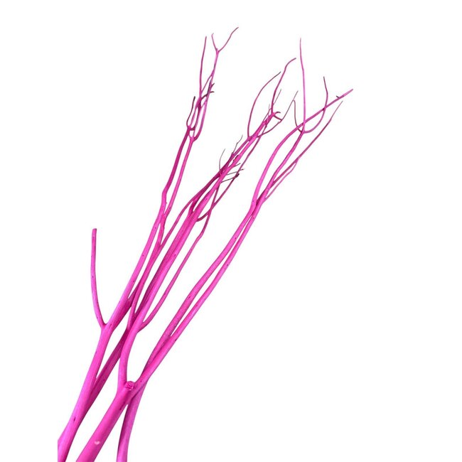 Black Dried Mitsumata Branches | Length ± 115 centimetres | 3 branches per bunch