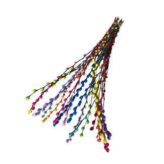 Dutch Dried Regenbogen-Mix Salix Weidenkätzchen Trockenblumen | Länge ± 70 Zentimeter | Pro 20 Zweige