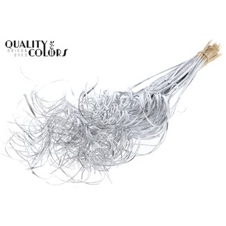 QC Gedroogd Palmblad Nerf | Kleur: Zilverkleurig | Curly Ting Ting | Lengte ± 70 centimeter | 3 takjes per toefje | 33 toefjes per bos | Per bos