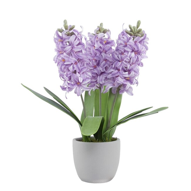 Hyazinthe Kunstblume in Zementtopf | Farbe: Lila | Länge ± 40 centimeter | 3 Hyazinthen pro Topf | Pro Topf