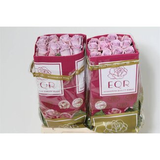 Freshy R Eq Ocean Song