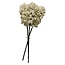 Hyacint Kunstbloem | Kleur: Natuurlijk Wit | Lengte ± 40 centimeter | 3 stelen per bos | Per bos