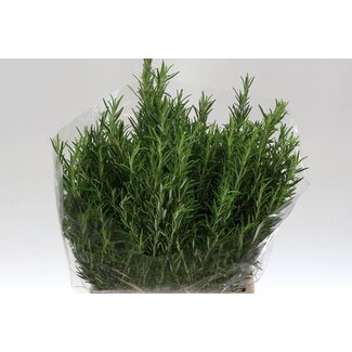 Freshy Rozemarijn 400gr (p. bos)