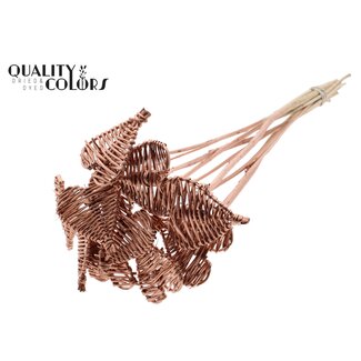 QC Rattan Lata Heart on stick | Colour: Copper-coloured | Flat pick | Diameter 8 centimetre | Length ± 50 centimetre | 10 picks per bunch