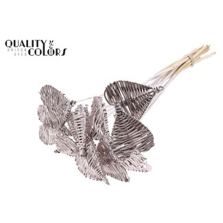 QC Rattan Lata Heart on stick | Colour: Champagne-coloured | Flat pick | Diameter 8 centimeter | Length ± 50 centimeter | 10 picks per bunch