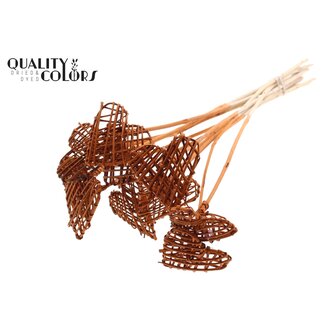 QC Rotin Lata Coeur sur tige | Couleur: Terracotta | Pique plat | Longueur ± 50 centimeter | 10 piques par bouquet | Par bouquet
