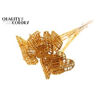 QC Rotan Lata Hart op stok | Kleur: Abrikooskleurig | Platte Bijsteker | Lengte ± 50 centimeter | 10 bijstekers per bos | Per bos