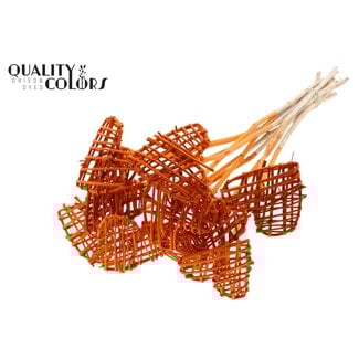 QC Rotan Lata Hart op stok | Kleur: Oranje | Platte Bijsteker | Lengte ± 50 centimeter | 10 bijstekers per bos | Per bos