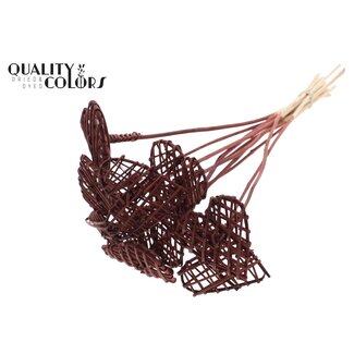 QC Rattan Lata Heart on stick | Colour: Brown | Flat floral pick | Length ± 50 centimetre | 10 floral picks per bunch | Per bunch