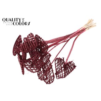 QC Rattan Lata Heart on stick | Colour: Bordeaux red | Flat pick | Length ± 50 centimeter | 10 picks per bunch | Per bunch