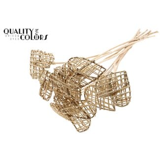QC Rotan Lata Hart op stok | Kleur: Naturel | Platte Bijsteker | Lengte ± 50 centimeter | 10 bijstekers per bos | Per bos